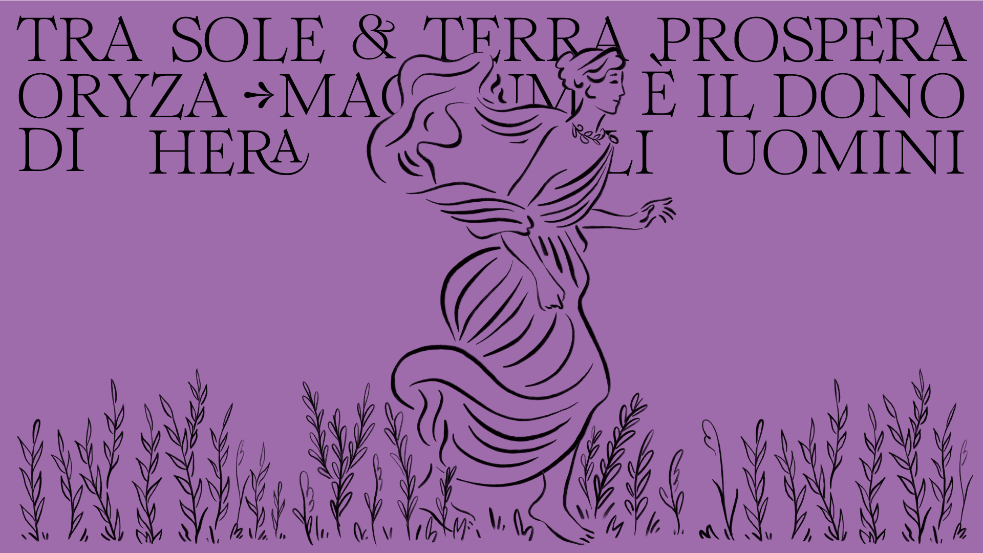 Hera nei campi 14