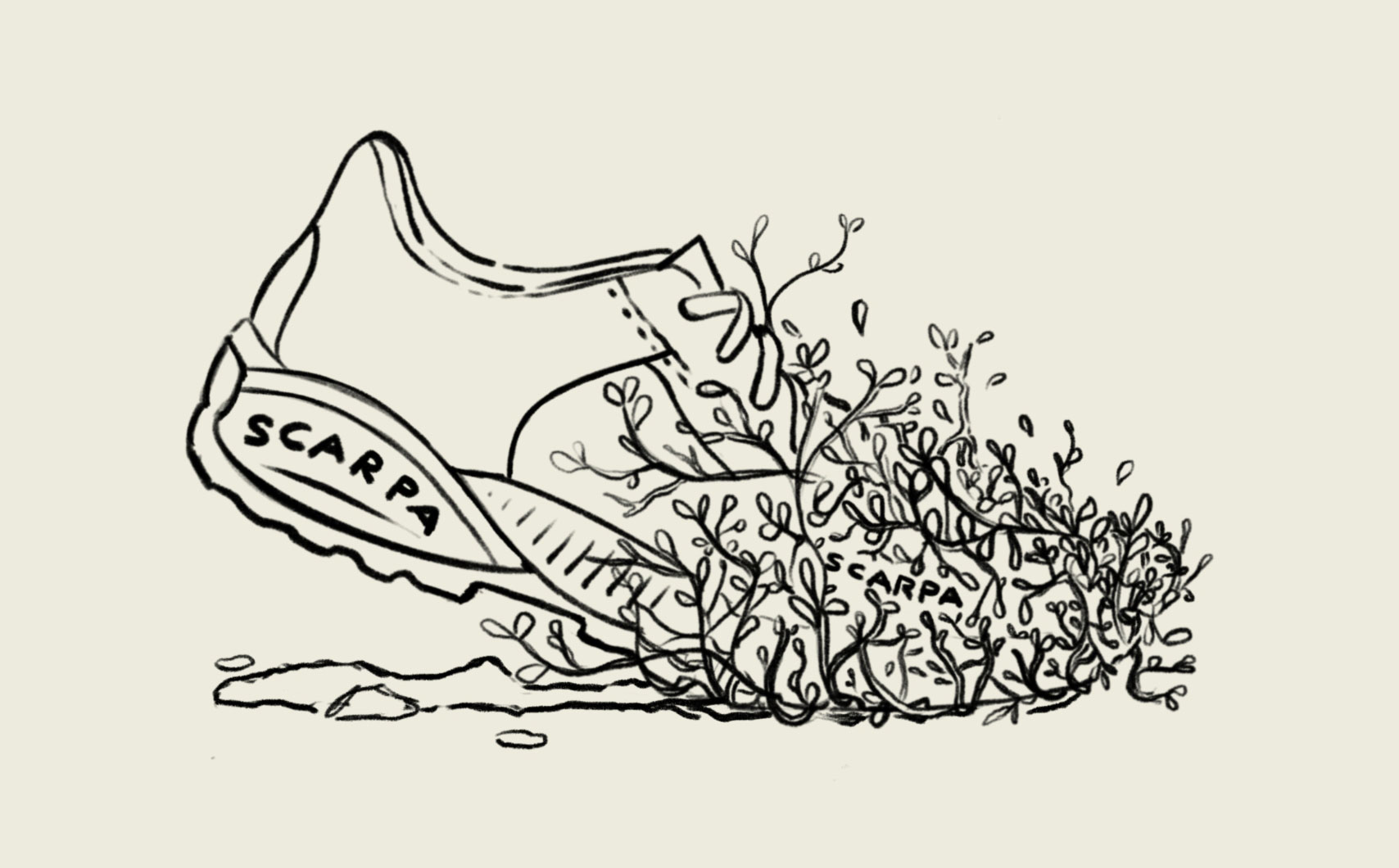 Scarpa 5b
