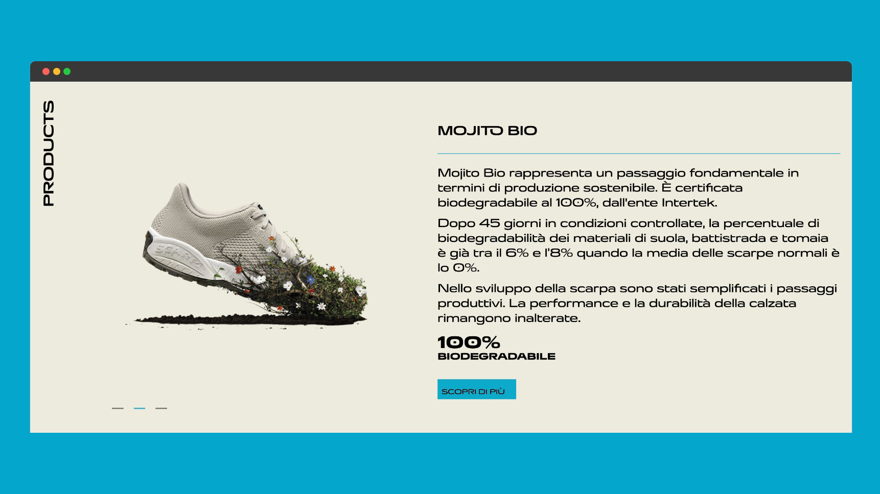 Scarpa 6