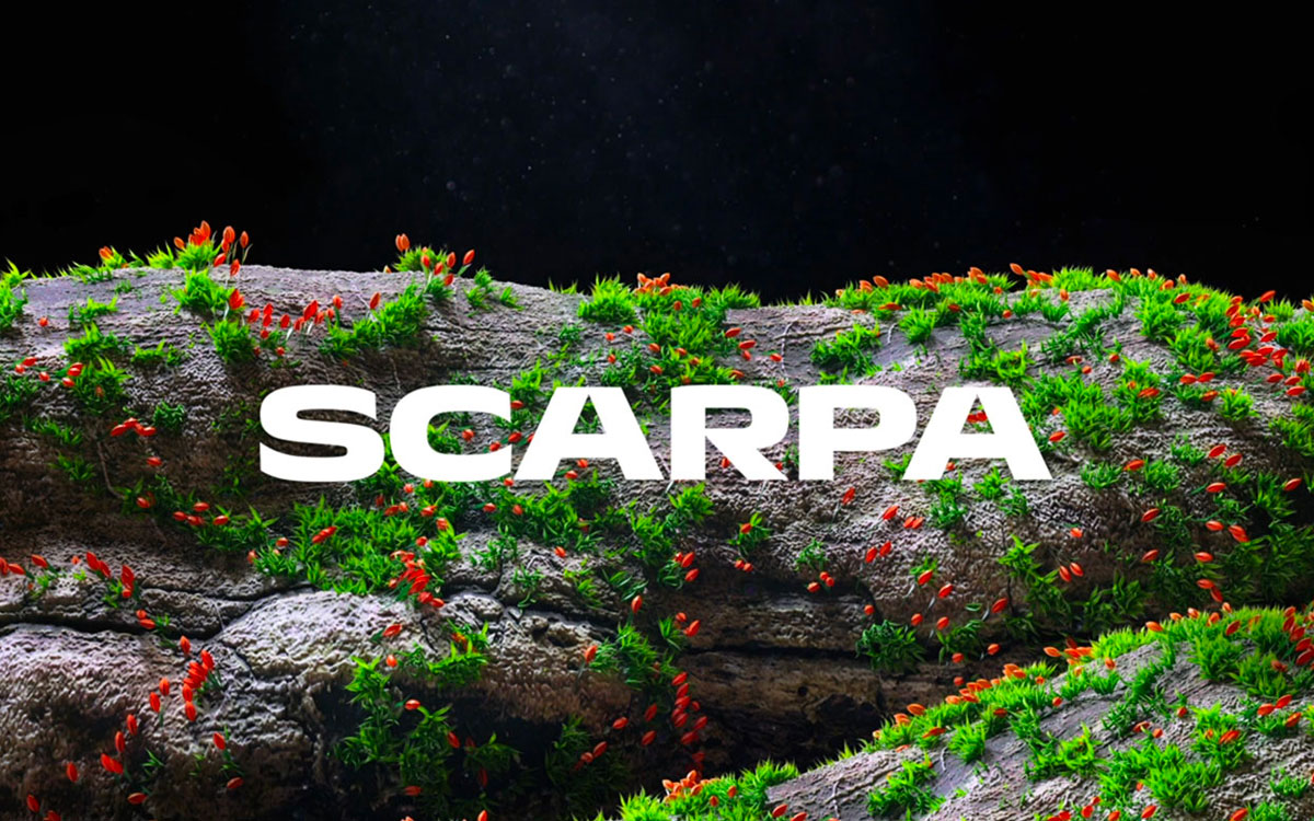 Scarpa 7a